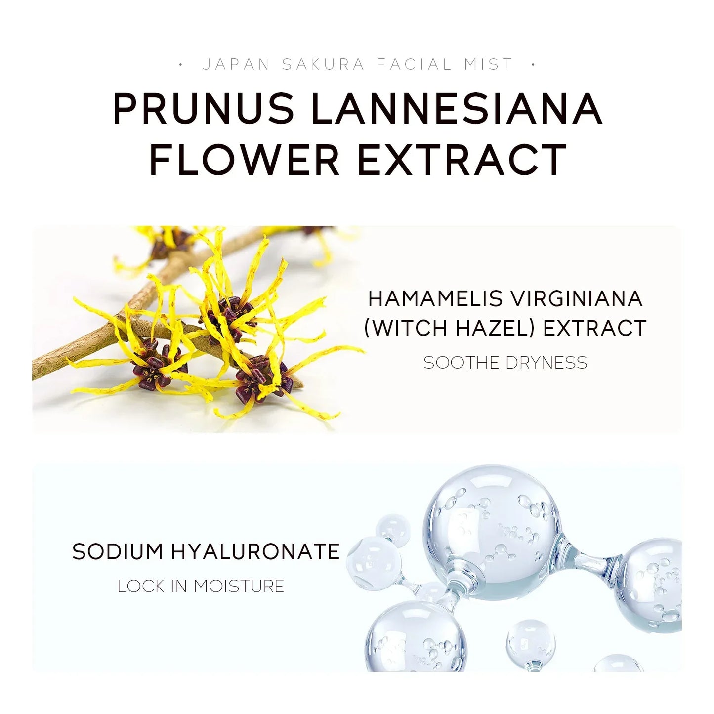 LAIKOU Sakura Hydratant