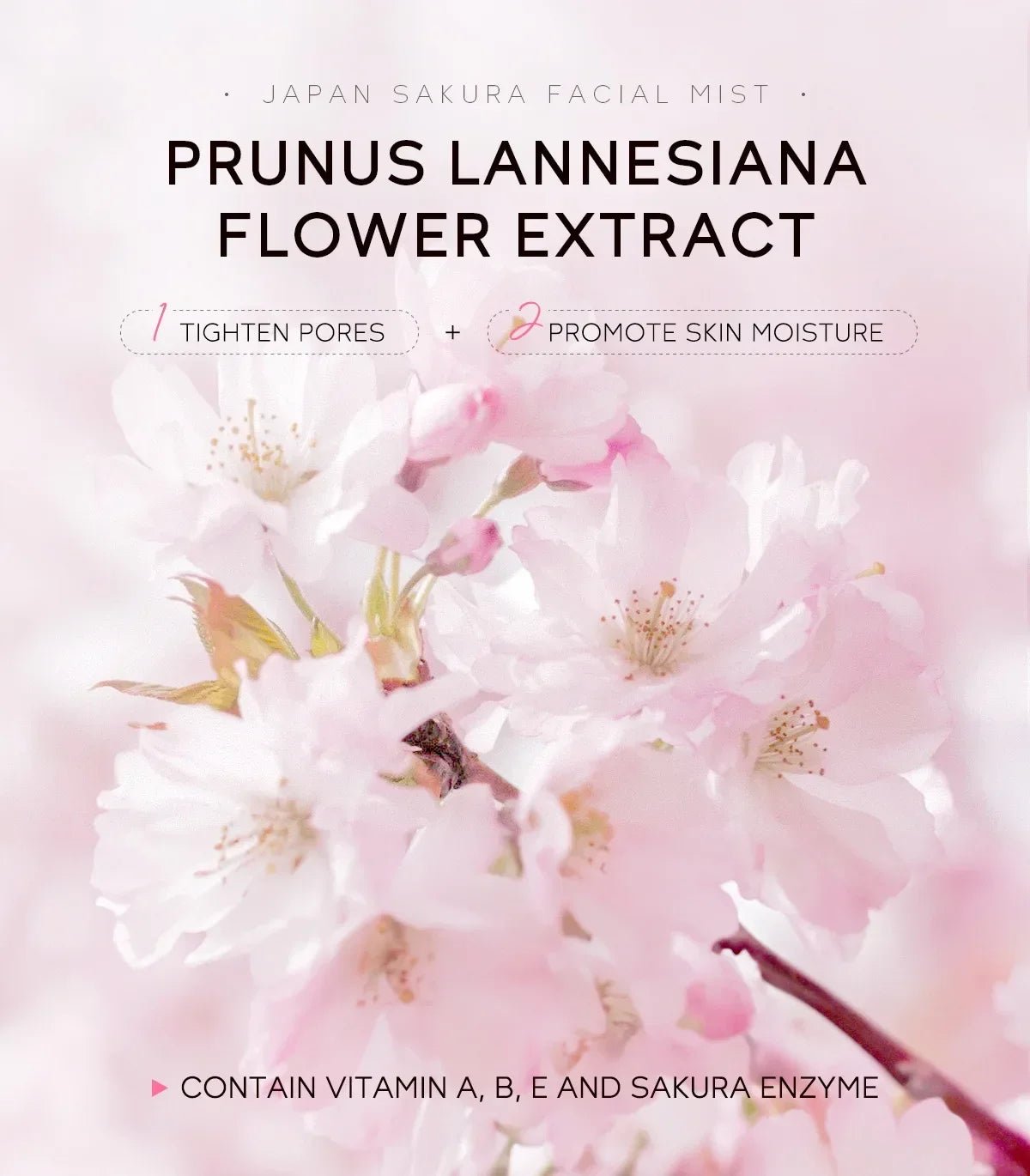 LAIKOU Sakura Hydratant