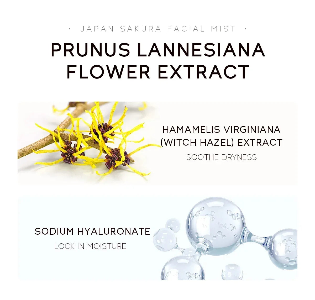 LAIKOU Sakura Hydratant