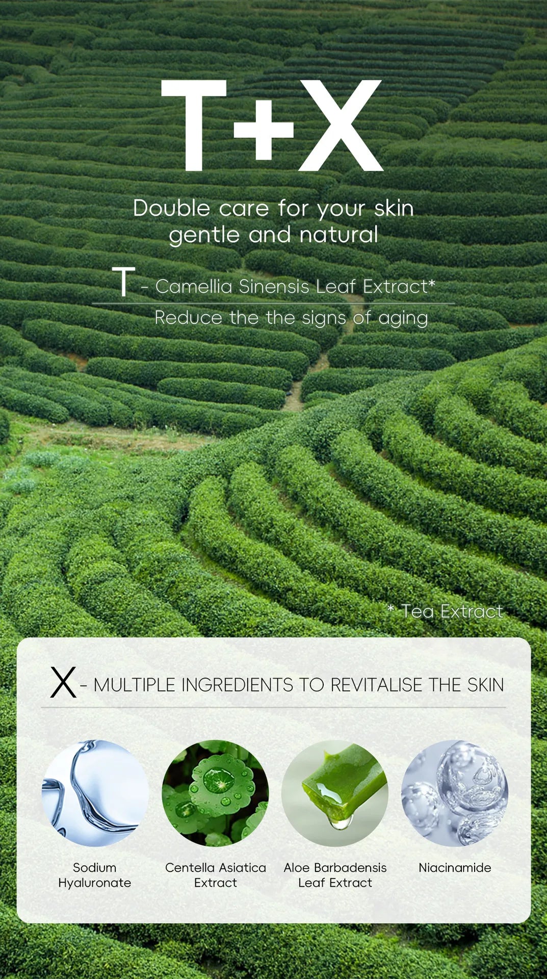 Skin Care Set Green Tea Facial Cleaner Soothes Skin Face Toner tea Serum Moisturizing Cream Repairing Eye Cream Kits