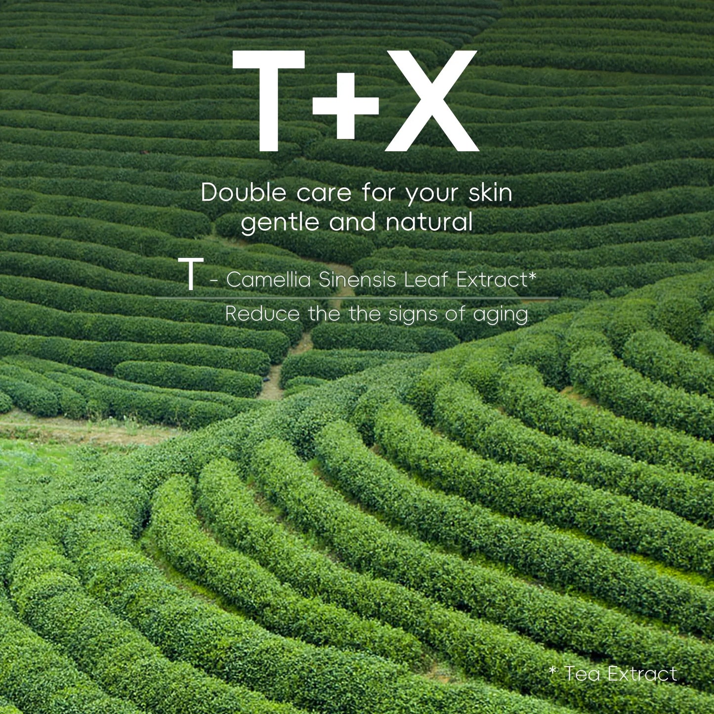 Skin Care Set Green Tea Facial Cleaner Soothes Skin Face Toner tea Serum Moisturizing Cream Repairing Eye Cream Kits